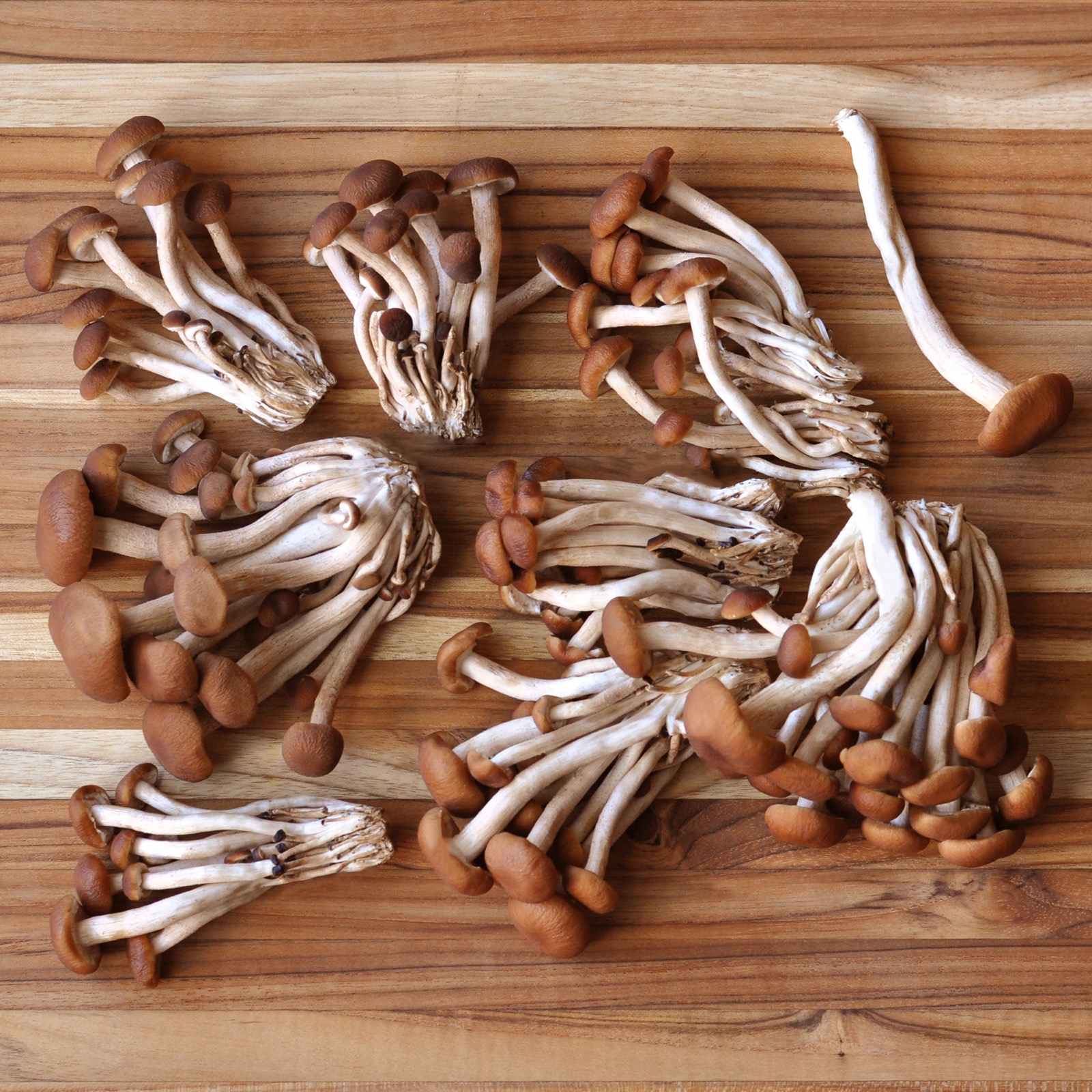 Pioppini mushrooms on a cutting board