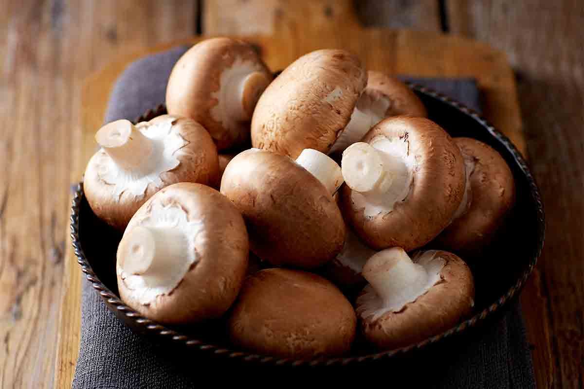 brown button baby bella mushrooms