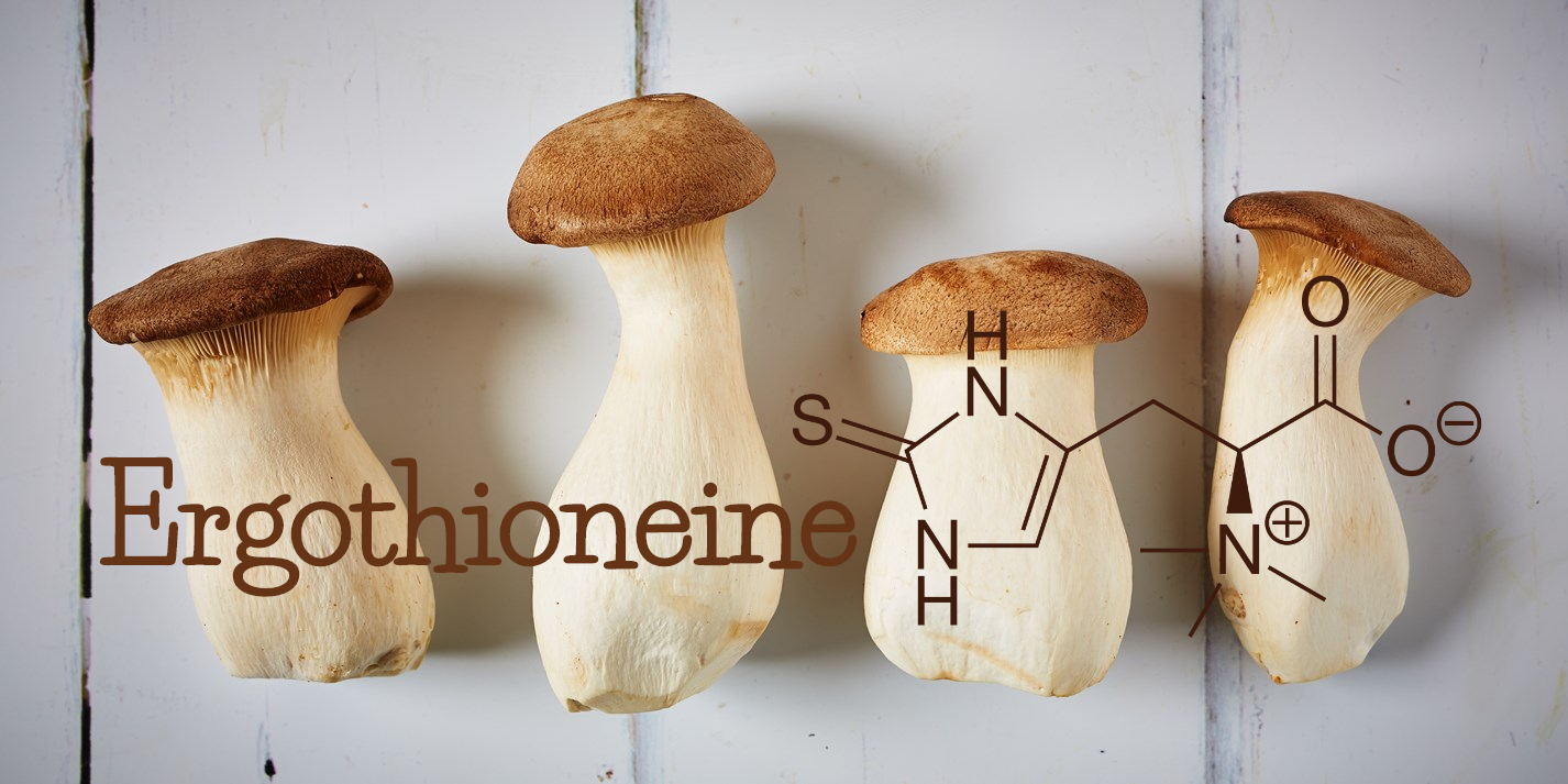 king oyster mushrooms with the word ergothioneine and molecule ergothioneine