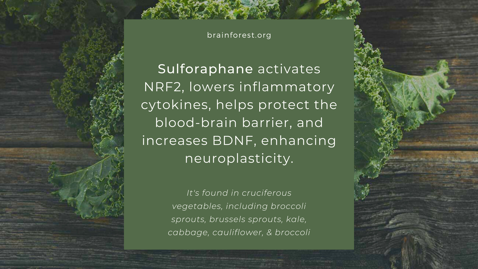 sulforaphane, its health benefits, and the foods it is found within
