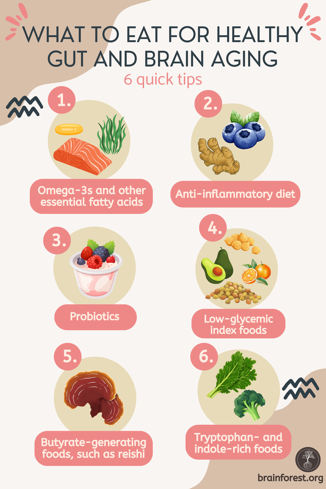 general dietary tips for gut and brain anti-aging