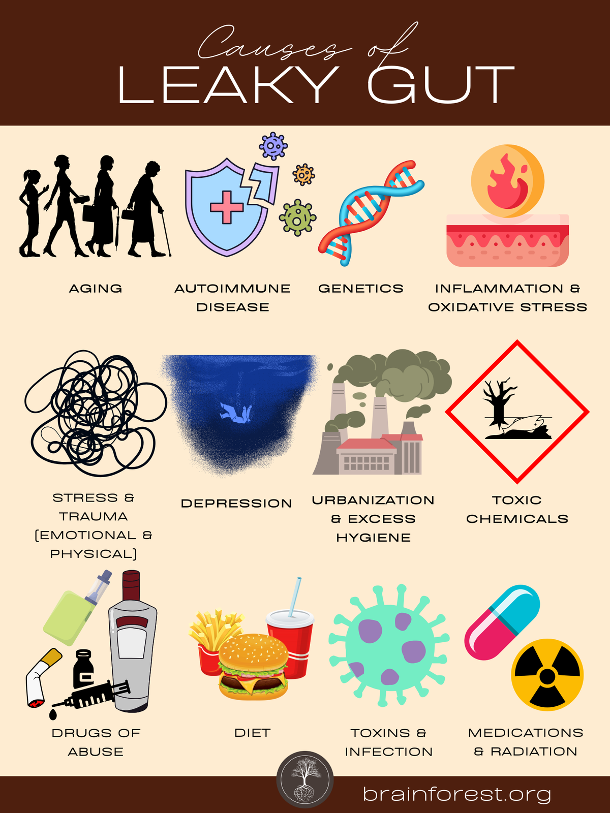 infographic summarizing major causes of leaky gut