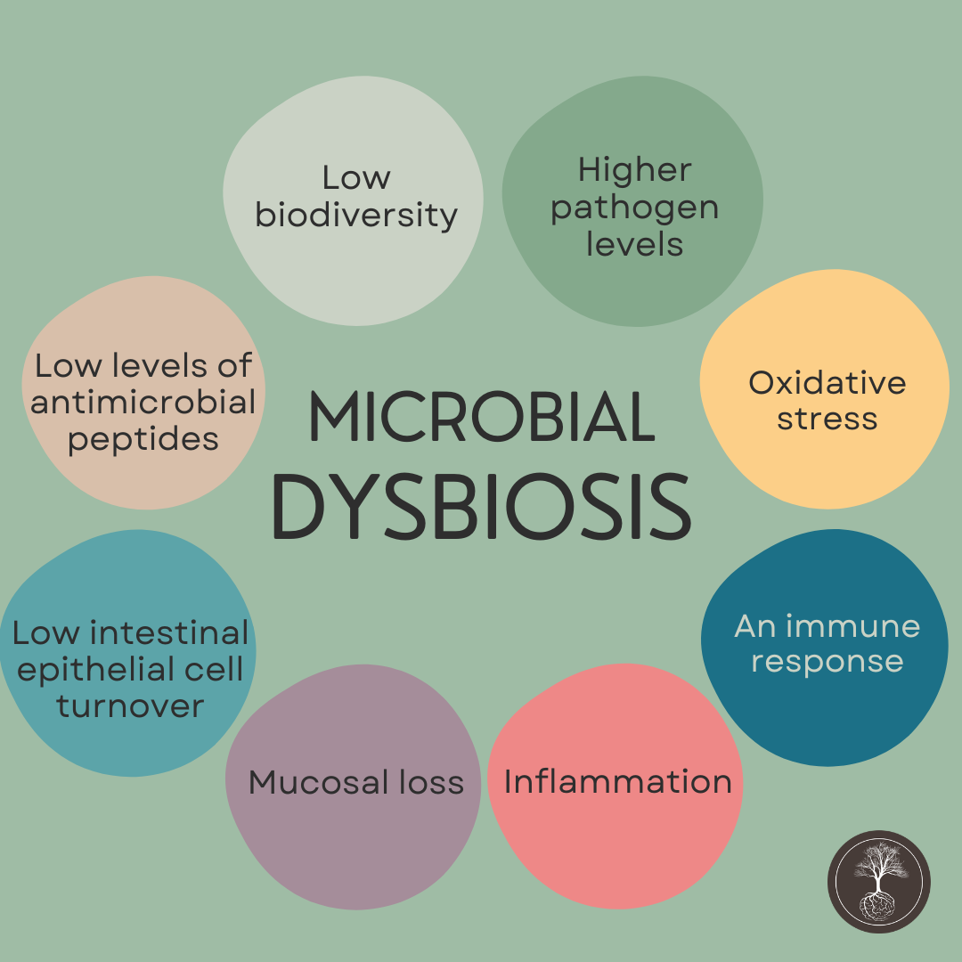 factors affecting microbial dysbiosis