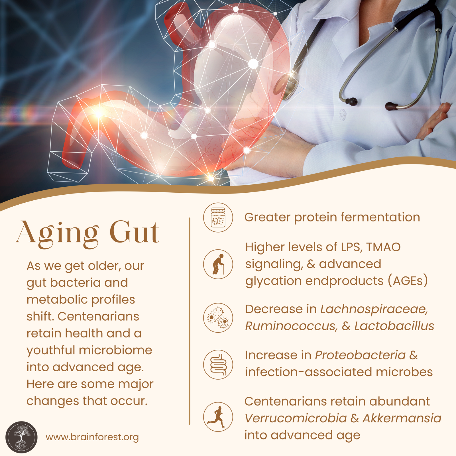 summary of major microbiome and metabolic changes associated with aging