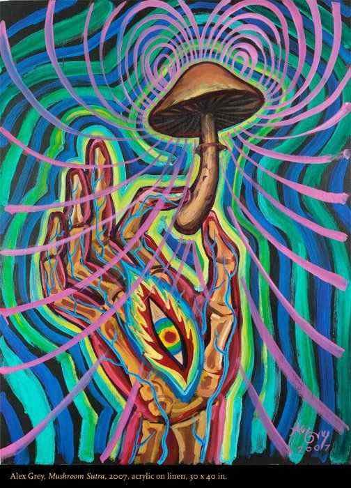 Alex Grey painting of hand holding a mushroom with consciousness expansion