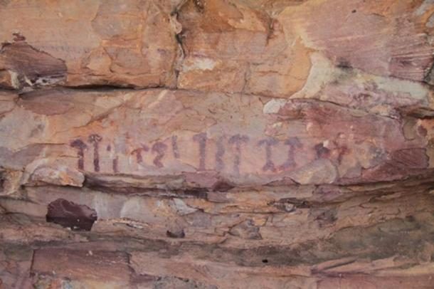 Rock art of mushrooms in Selva caves